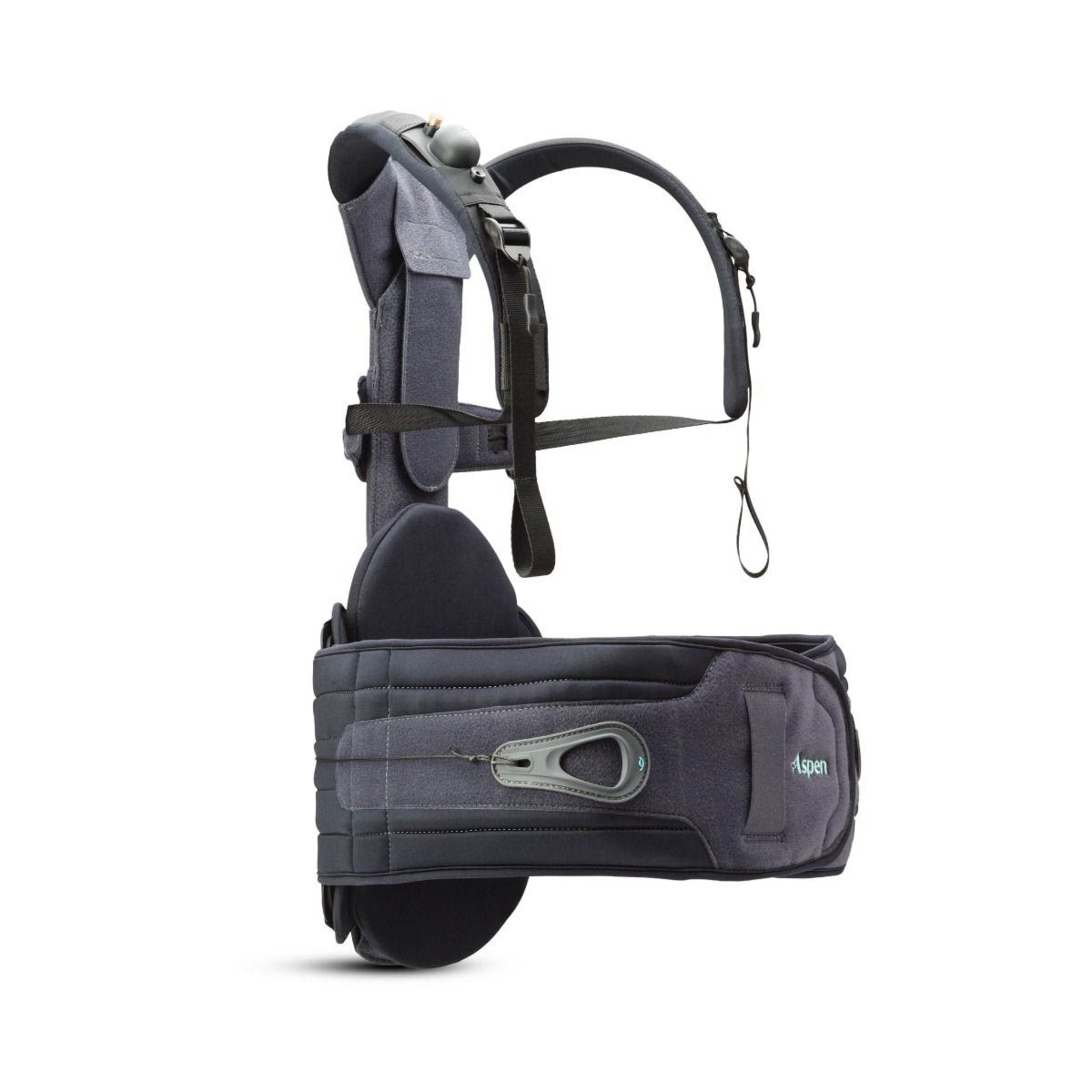 Aspen Active™ P-TLSO