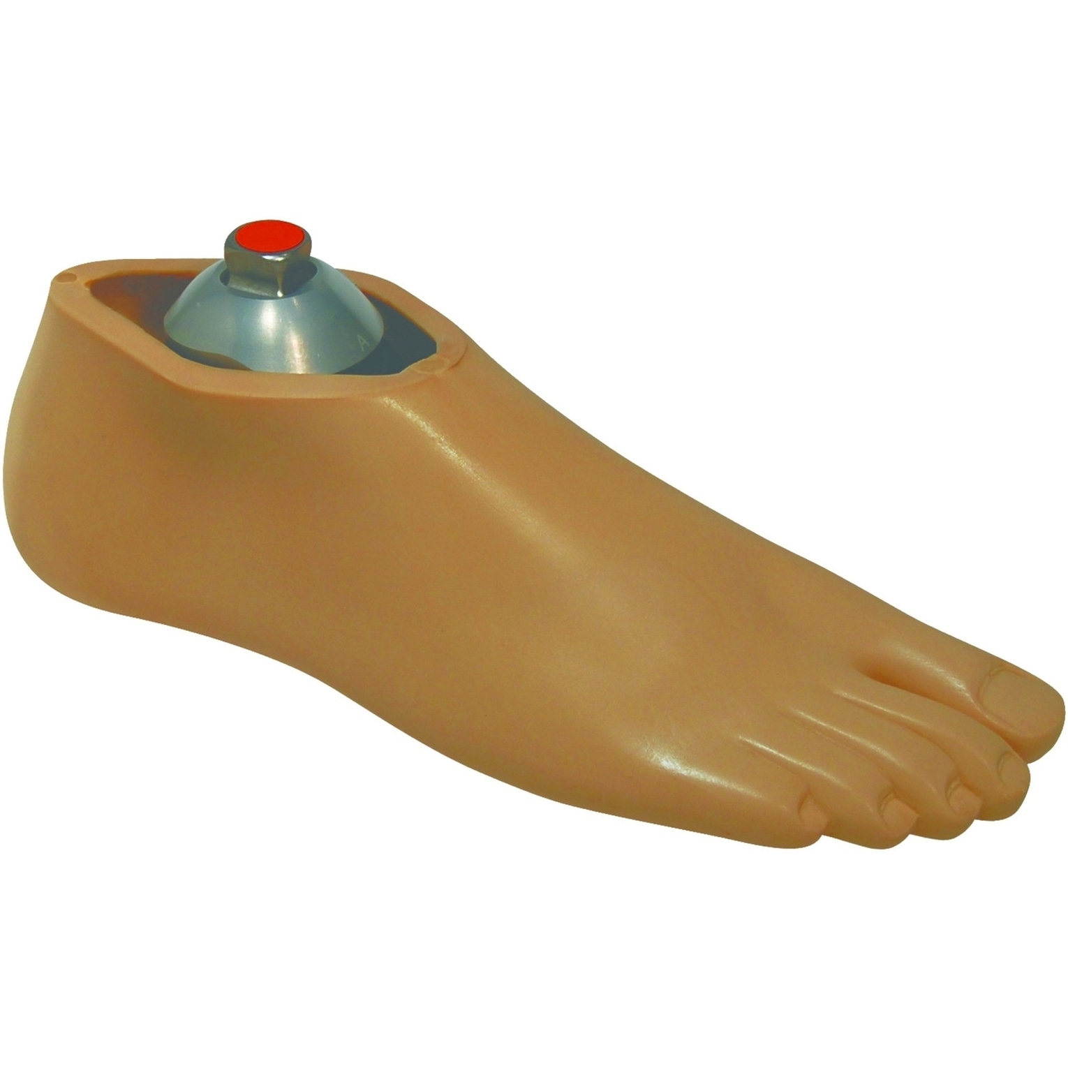 Navigator Foot Shell