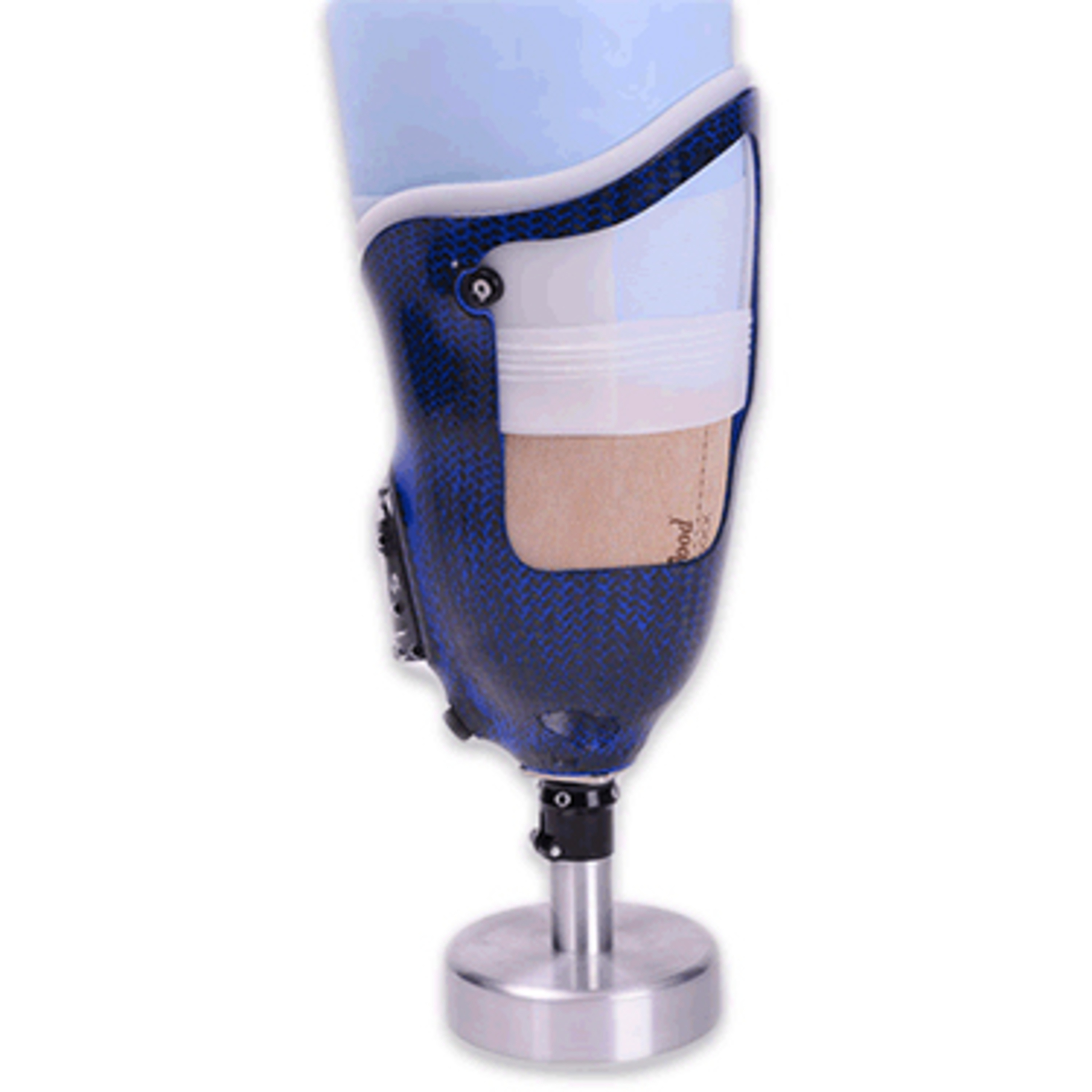 WillowWood One® TF System